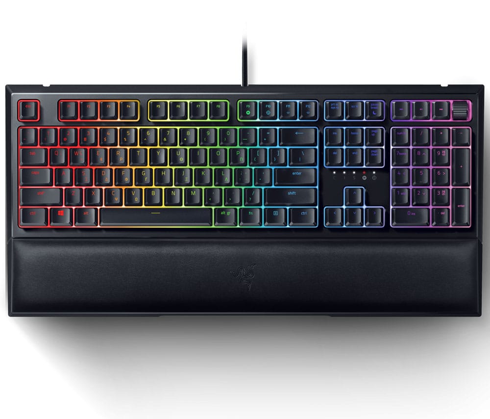 ornata v2