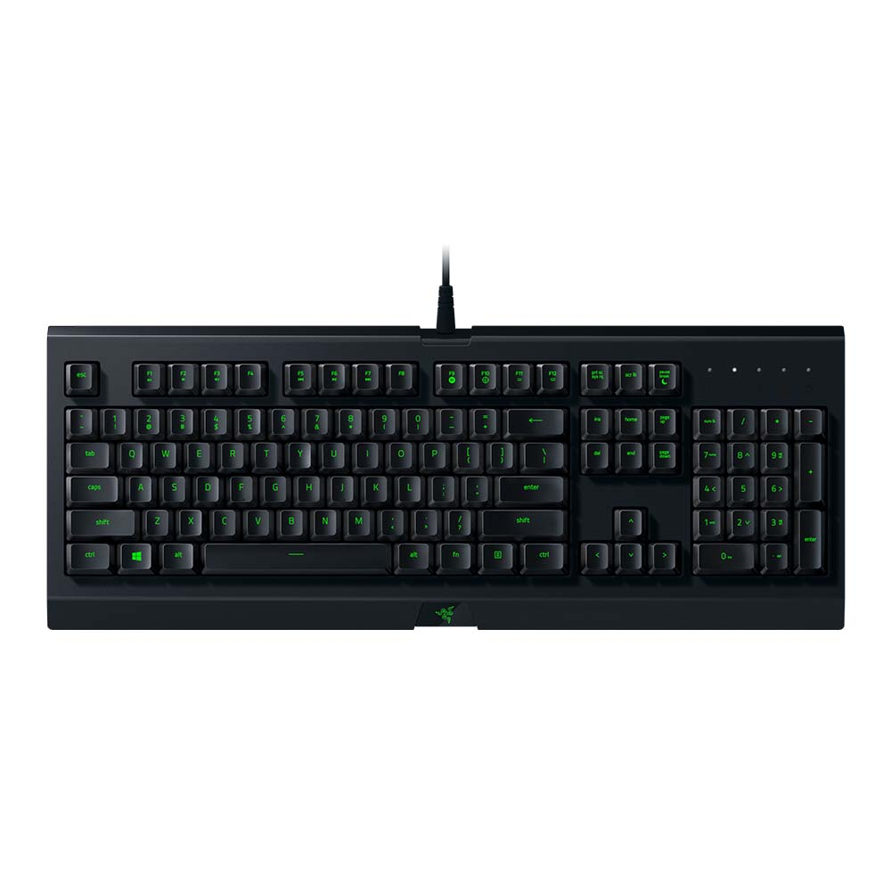 Cynosa Lite Chroma US